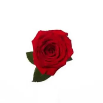 Top Red Rose